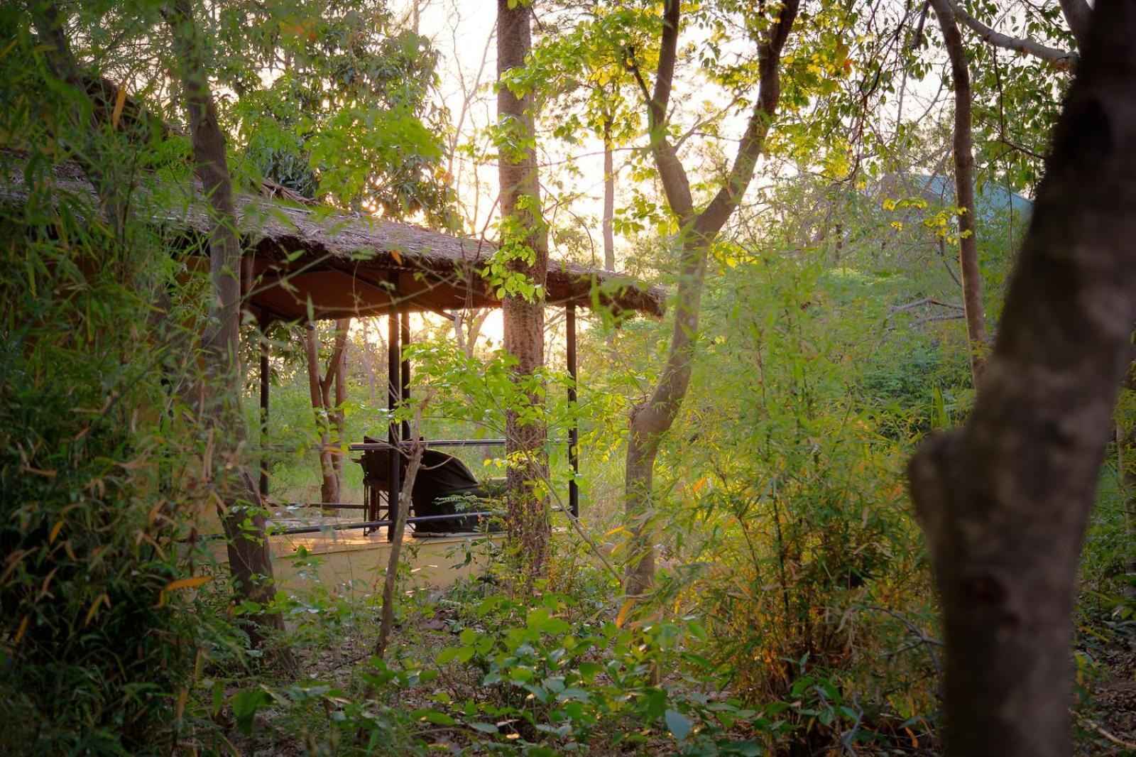 Jim'S Jungle Retreat Otel Ramnagar  Dış mekan fotoğraf
