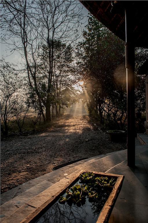 Jim'S Jungle Retreat Otel Ramnagar  Dış mekan fotoğraf
