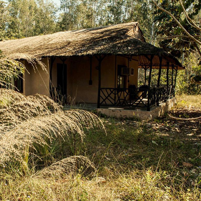 Jim'S Jungle Retreat Otel Ramnagar  Dış mekan fotoğraf