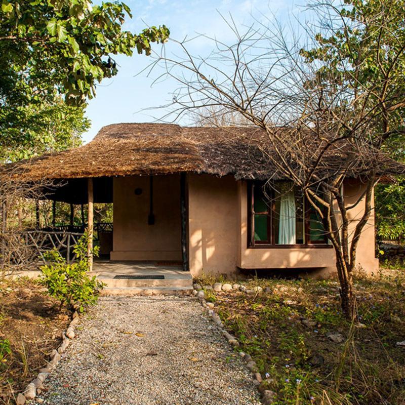 Jim'S Jungle Retreat Otel Ramnagar  Dış mekan fotoğraf