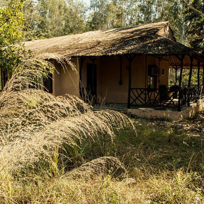 Jim'S Jungle Retreat Otel Ramnagar  Dış mekan fotoğraf