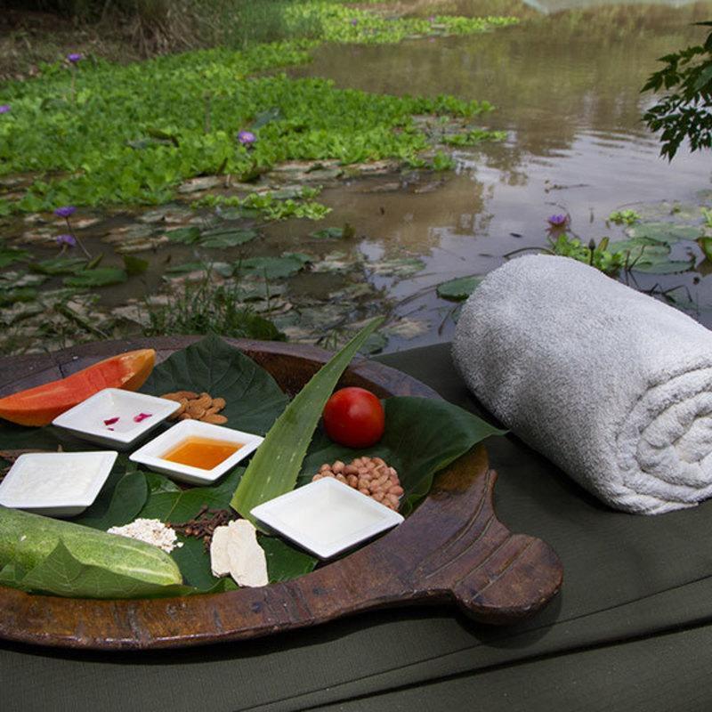 Jim'S Jungle Retreat Otel Ramnagar  Dış mekan fotoğraf