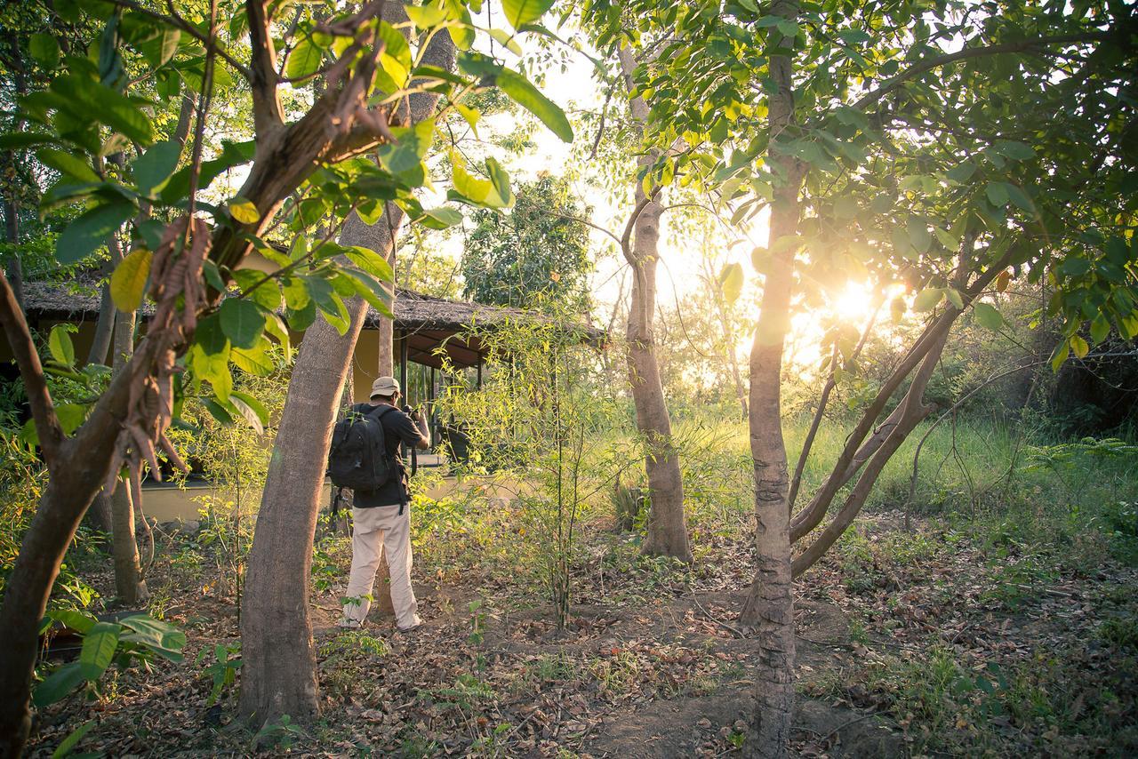 Jim'S Jungle Retreat Otel Ramnagar  Dış mekan fotoğraf