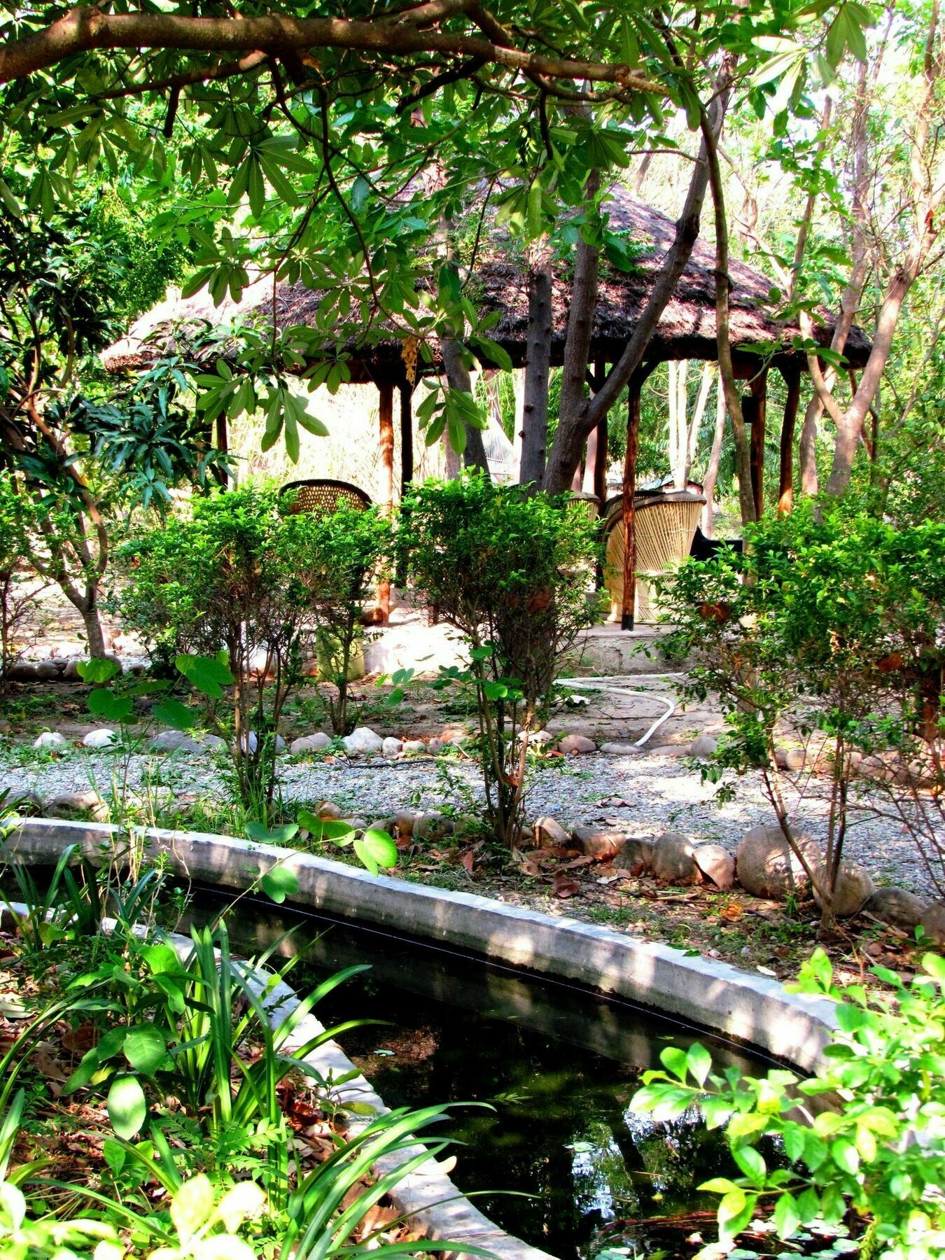 Jim'S Jungle Retreat Otel Ramnagar  Dış mekan fotoğraf